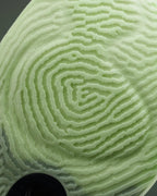 Li-Ning YuShuai Ultra Low "Oasis" 李宁 驭帅ULTRA 低帮 篮球鞋 绿洲