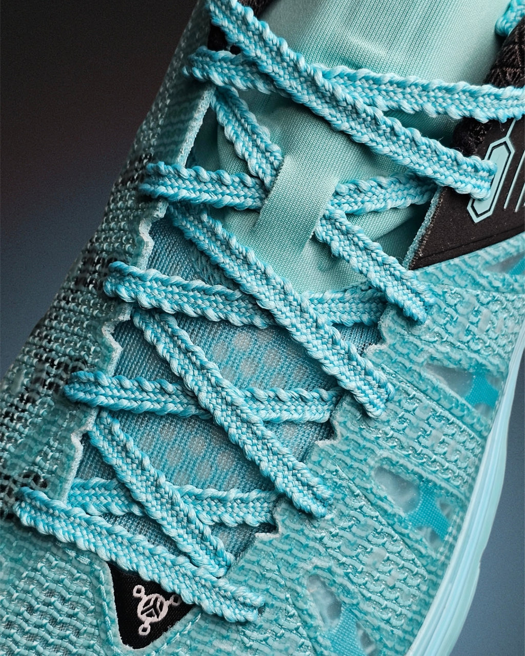 Li-Ning JieAo 2 "Venomous Scorpion" 李宁 桀骜2 篮球鞋 毒蝎