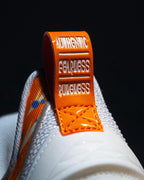 Li-Ning JieAo 3 "Snake Eagle" 李宁 桀骜3 篮球鞋 蛇鹫